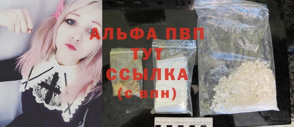 СК Алзамай
