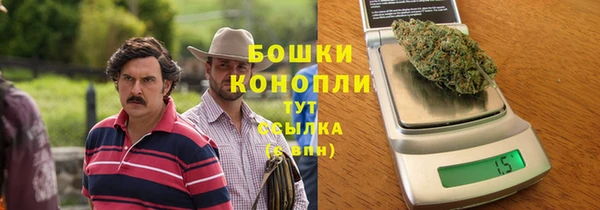 дживик Переславль-Залесский